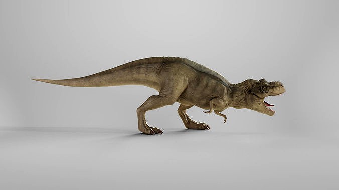 T-Rex Tyrannosaurus Rigged - High Poly and Low Poly 3D model