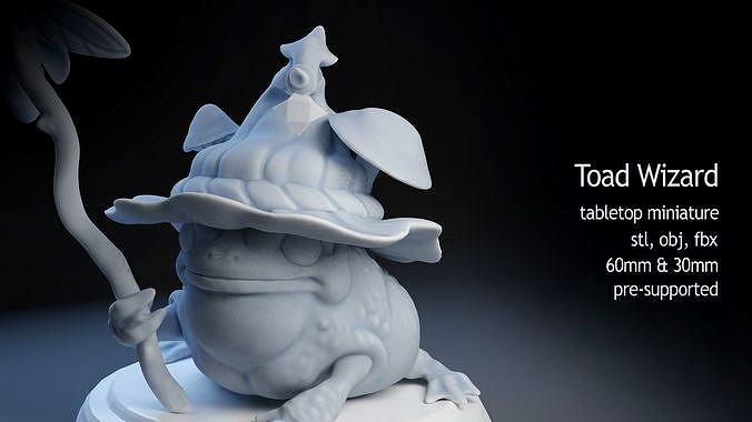 Toad Wizard | 3D