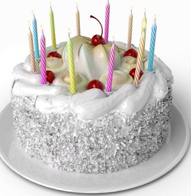 Birthday Cake 3D Model