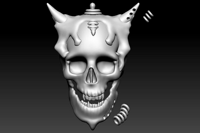 Skull Model | 3D