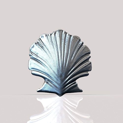 Shell | 3D