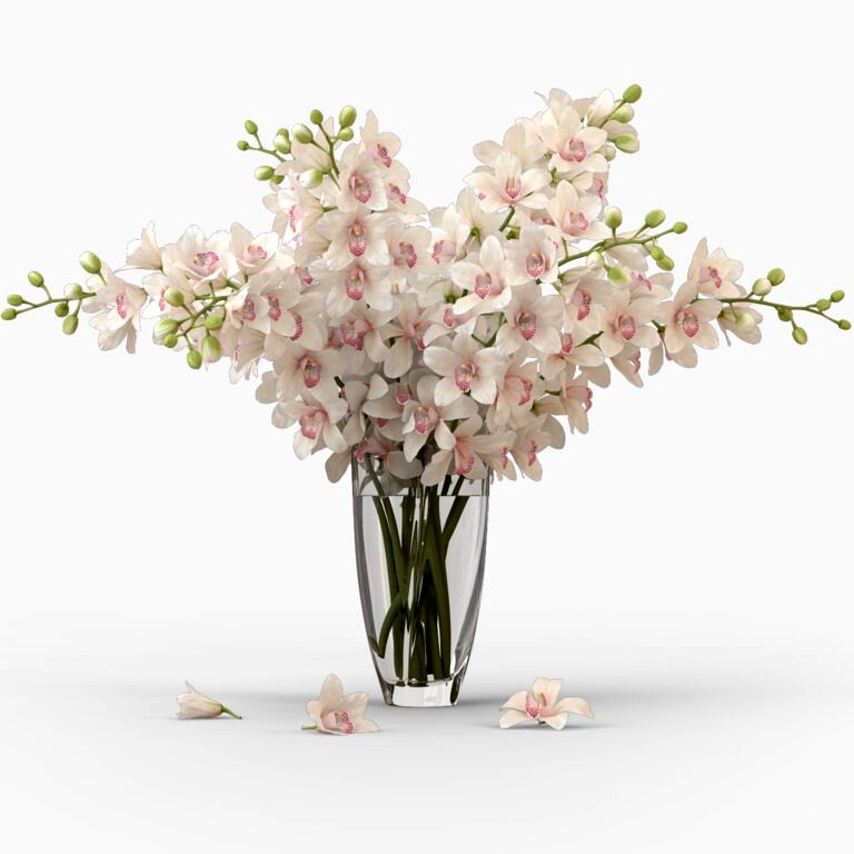 Bouquet of orchids (336487)