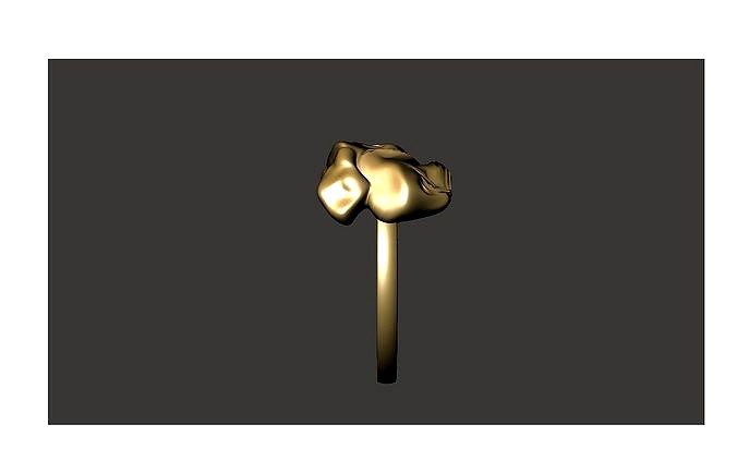 Amorphous Ring | 3D