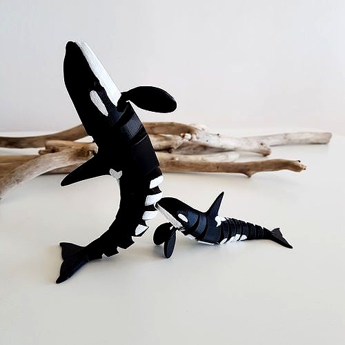 Flexi Orca | 3D