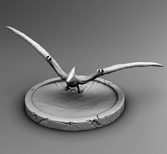 Pterodon | 3D