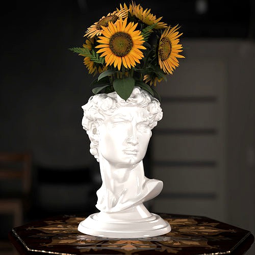 David Head Planter pot | 3D