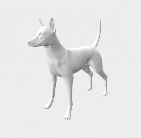 Pharaoh Hound