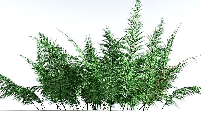 EVERYPlant Bracken 3 --15 Models--