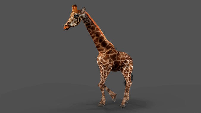 Fur Giraffe Rigged in Blender