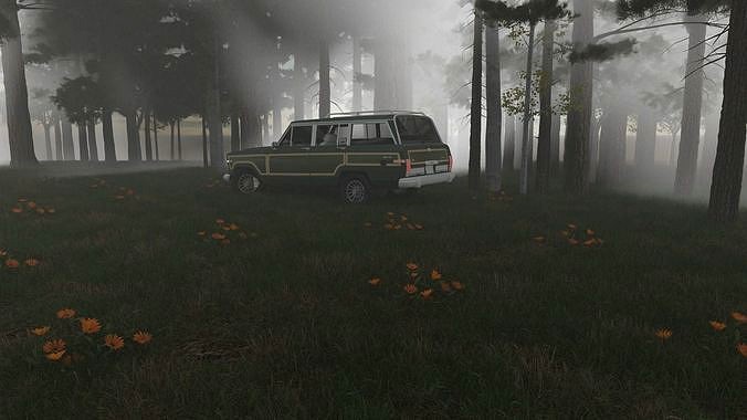 A car in forest scene