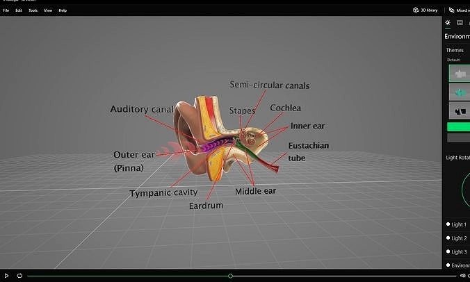 Ear cut section