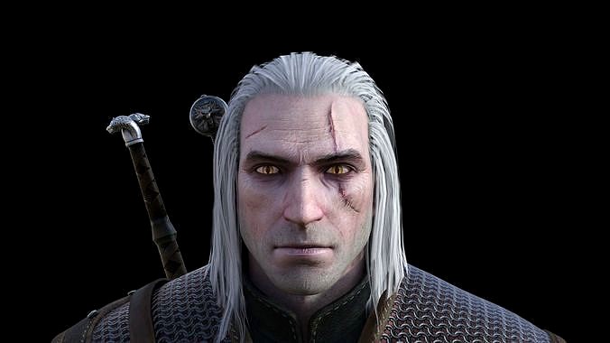 the witcher