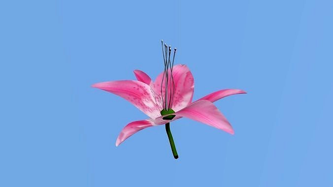 low poly flowers  parte 2