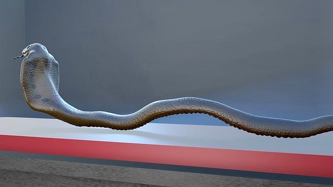 Cobra snake