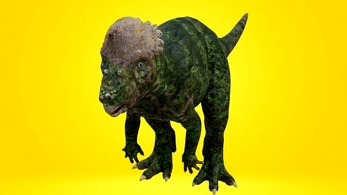 pachycephalosaurus Dinosaur