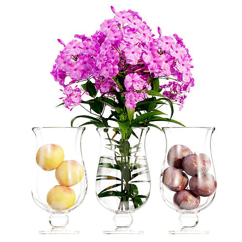 Phlox flowers in a vase set 02