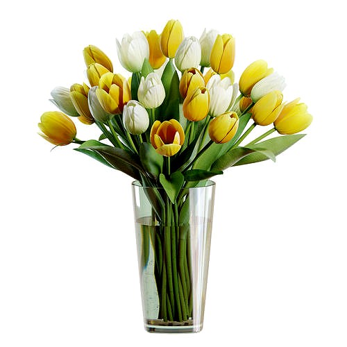 Flower Set 27 - Yellow and White Tulips Bouquet