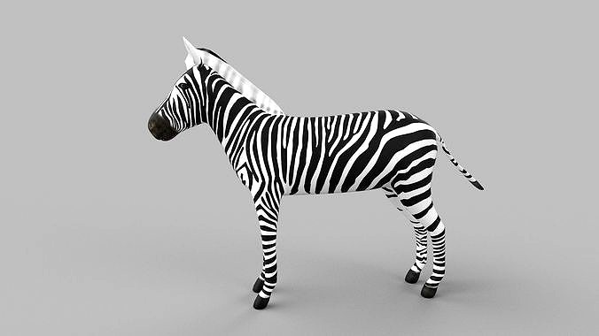 zebra