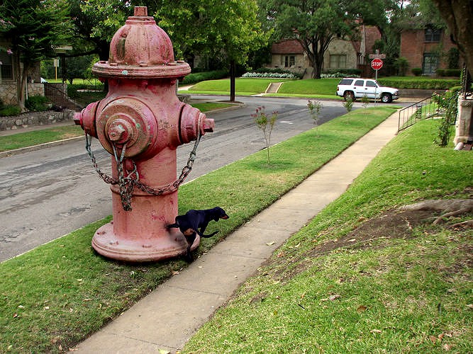 An Ole Fire Hydrant