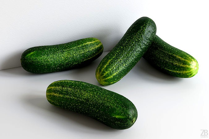 Cucumber 008