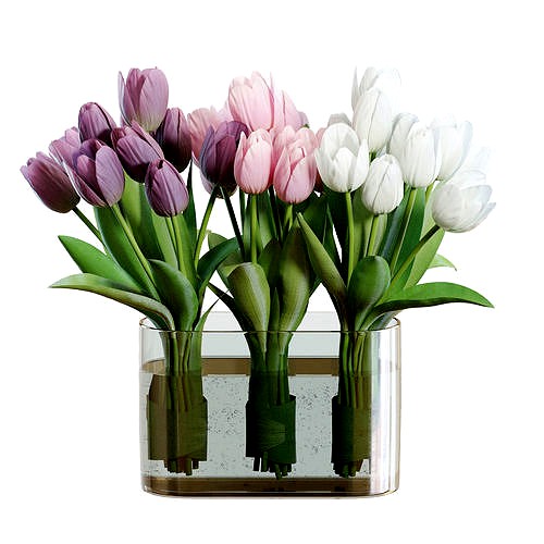 Flower Set 25 - White and Purple Tulips Bouquet