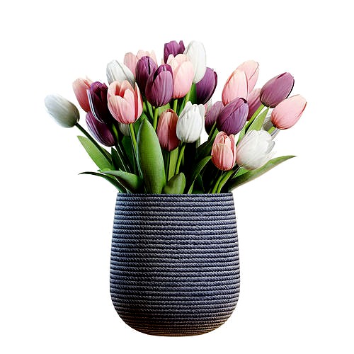 Flower Set 24 - White and Purple Tulips Bouquet