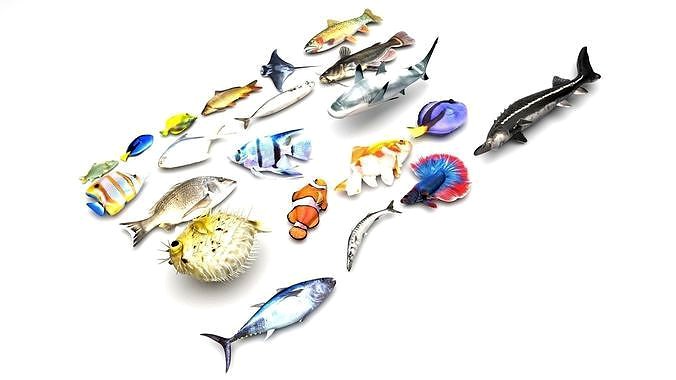 Fishes Set