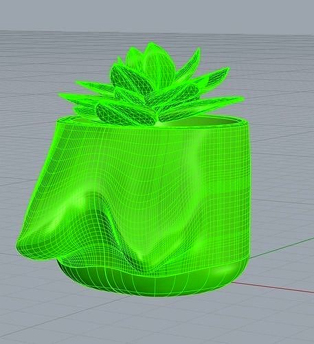 Plant in the boob planter