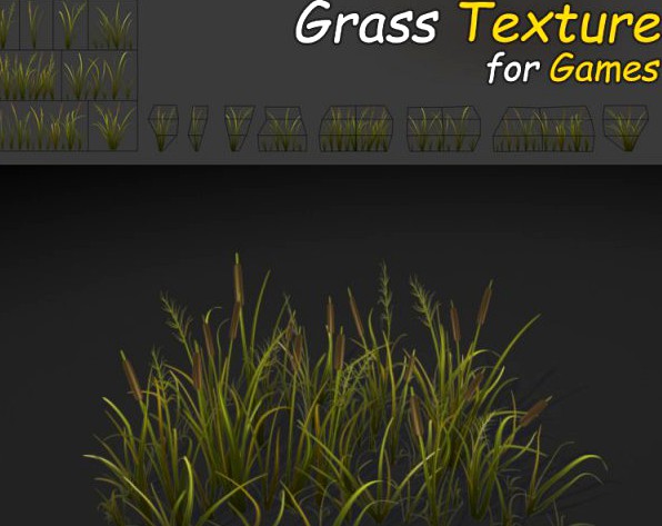 Cattail Grass Texture 3D Model