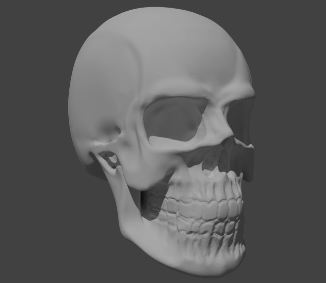 Solid skull sculpt