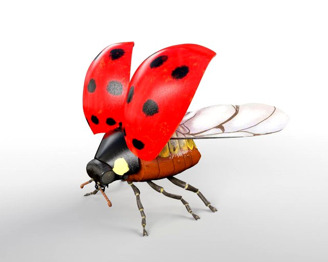 ladybug rigged pbr low poly insect