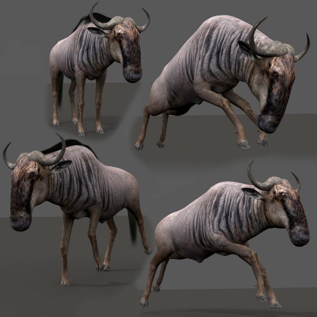 wildebeest pro