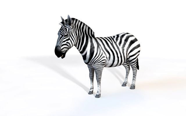 zebra rigged