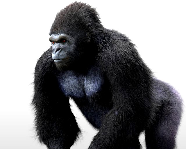 gorilla hairs rigged low poly animal