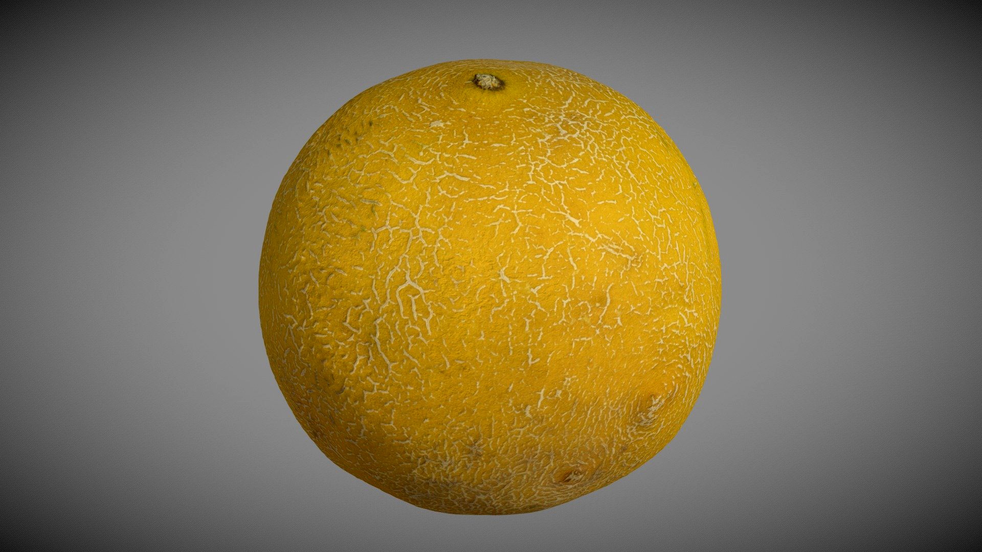 Galia Melon