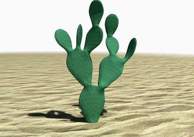 Prickly Pear Cactus 3D Model