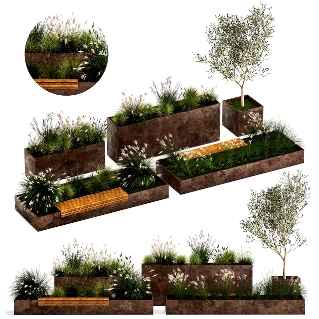 Bushes For Landscaping And Urban Environments 1139