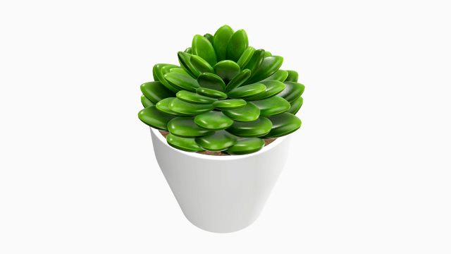 Artificial cactus composition 02