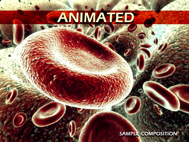 Red Blood Cells Animated 3D Model