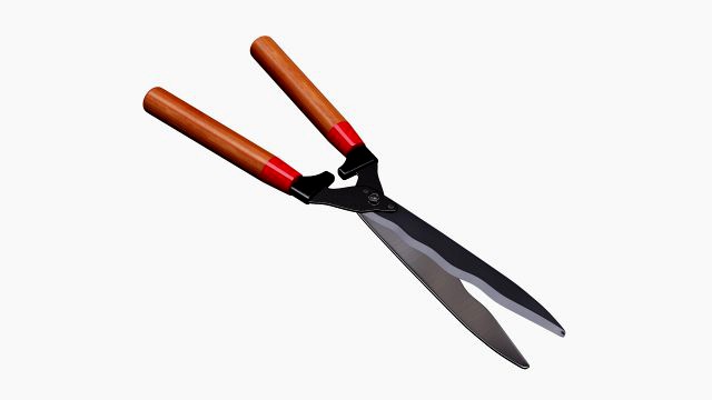Garden scissors