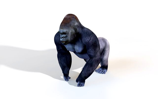 gorilla rigged animal