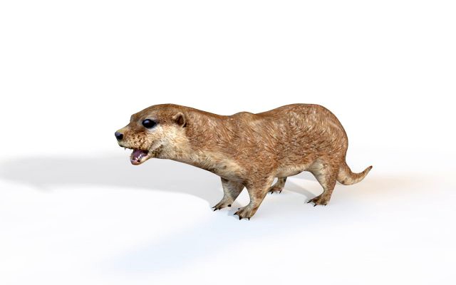 otter rigged animal