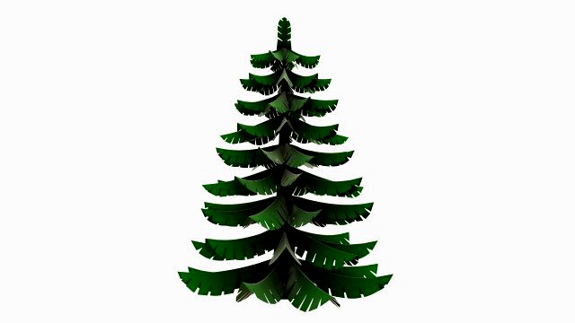 Stylized Christmas fir tree 01