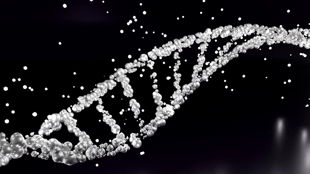 DNA molecule (338181)