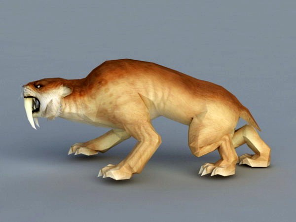 Leopard Attack 3D Model