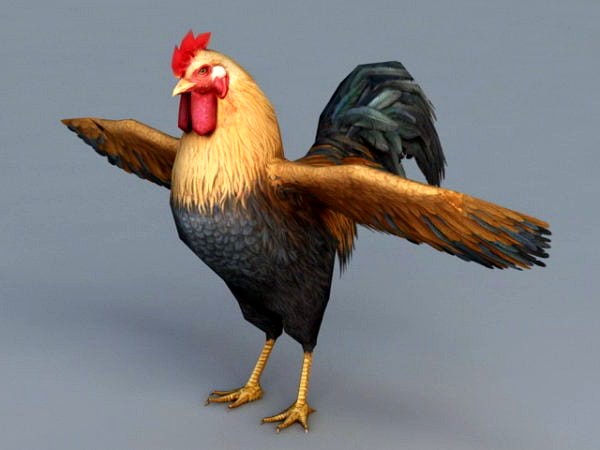 Beautiful Rooster 3D Model