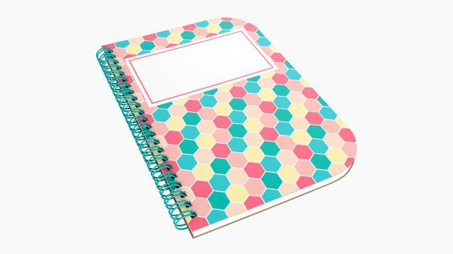 Notebook with spiral 05