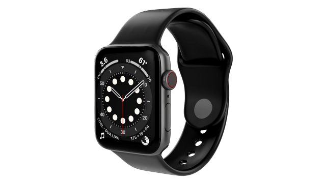 Apple Watch Series 6 Silicone Loop Gray