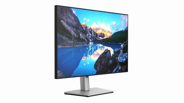 Dell Ultrasharp Lcd 24 Inch Monitor