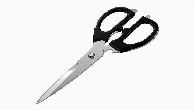 Kitchen Scissors 02